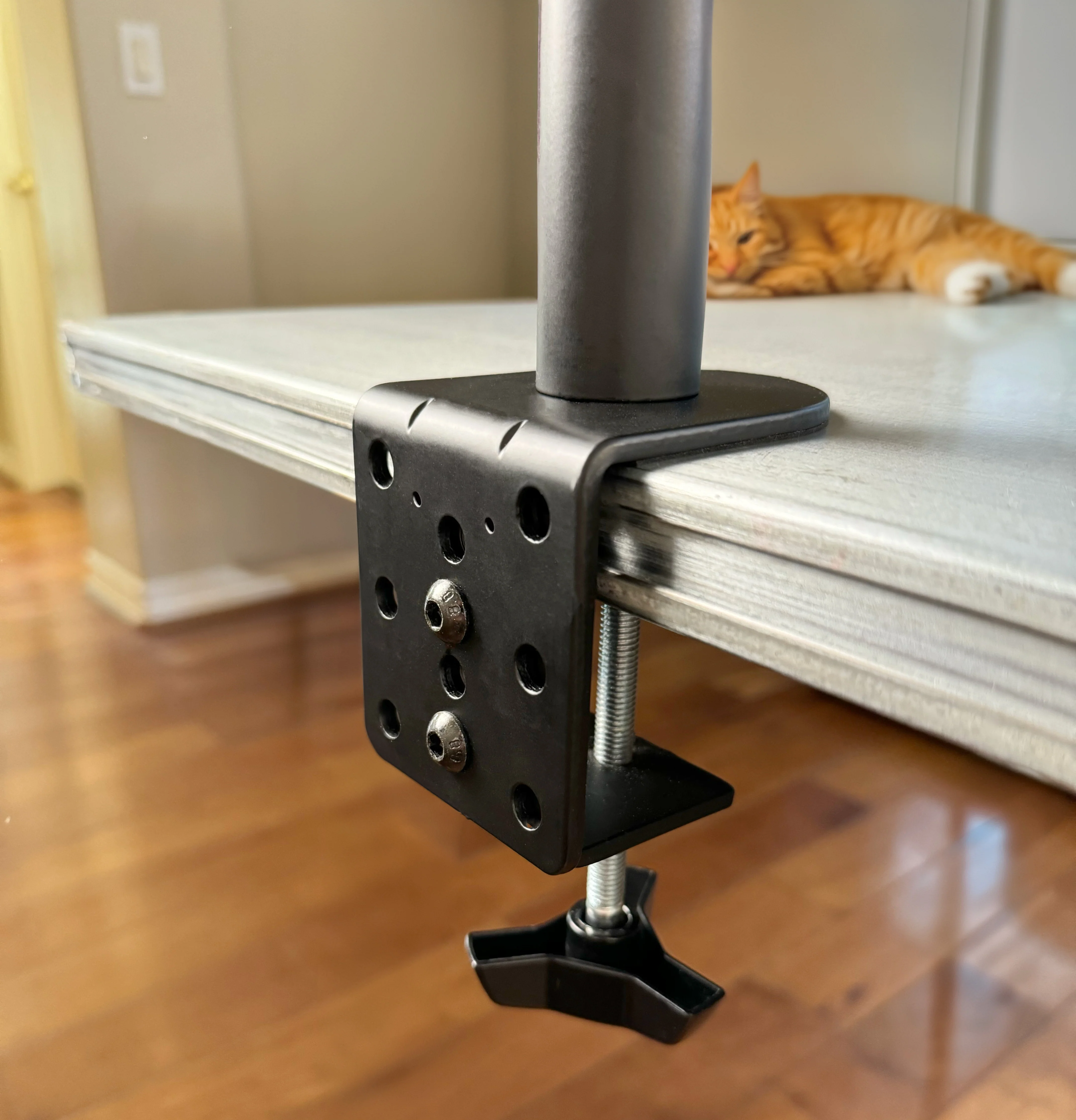 Thumb 5